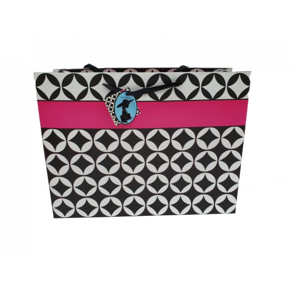 Colorful Paper Bags - Extra Large