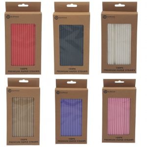 100 Pack Premium Paper Straws - Assorted