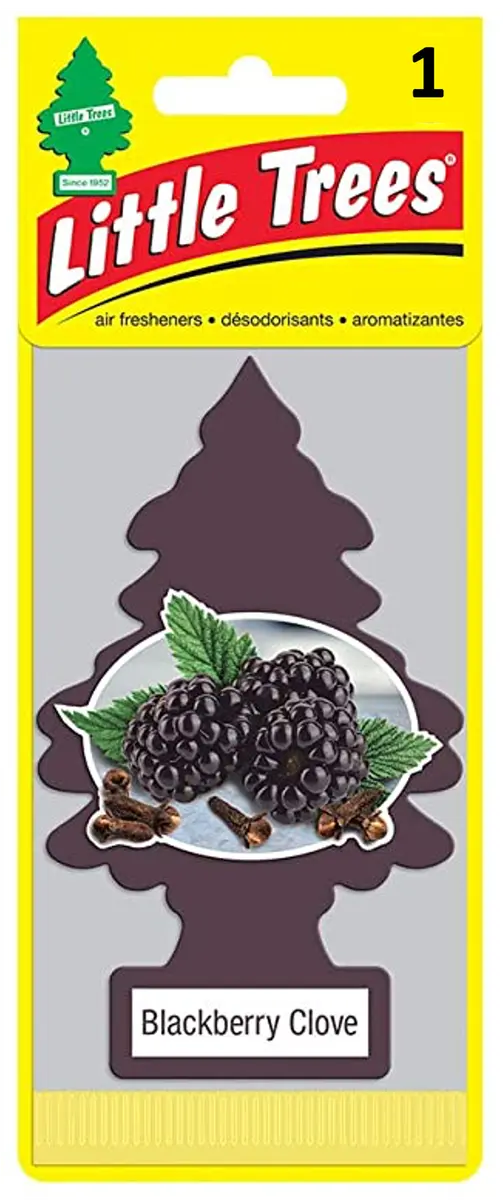 Little Trees - Blackberry Clove