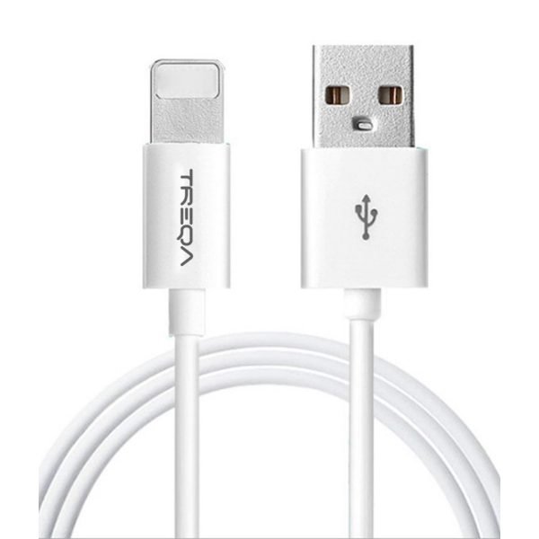 Treqa iPhone Charging Cable - 1m