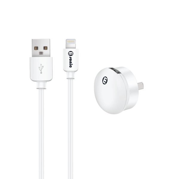 Mini USB Wall Charger with Lightning Cable