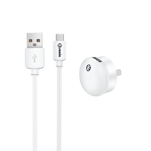 Mini USB Wall Charger with Micro USB Cable