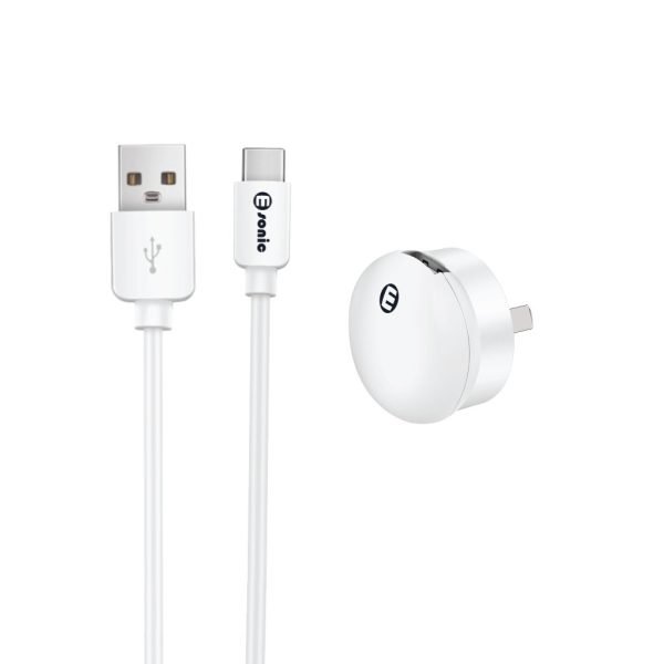 Mini USB Wall Charger with Type-C Cable