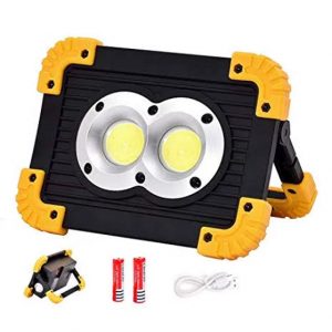 20W COB Bright Light