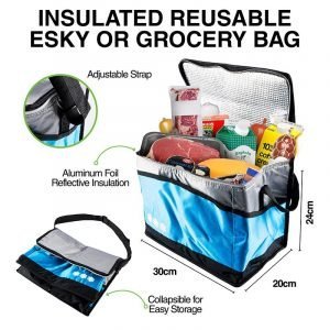 Bag Insulated Cooler - 30cm x 24cm x 20cm