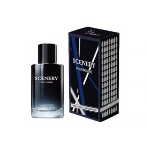Scenery Pour Homme Mens Perfume - 100ml
