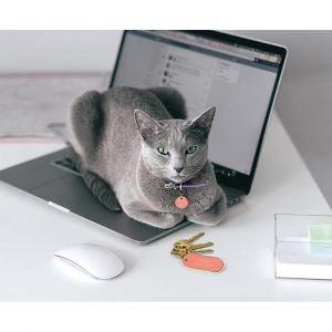 Fred Keychain and Dog Tag Set - Crazy Cat Lady