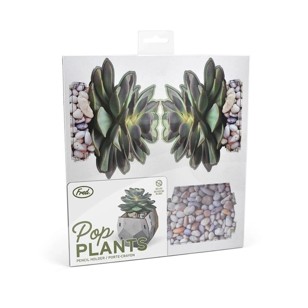 Fred Pop Plants Pencil Holder - Echeveria - Image 3
