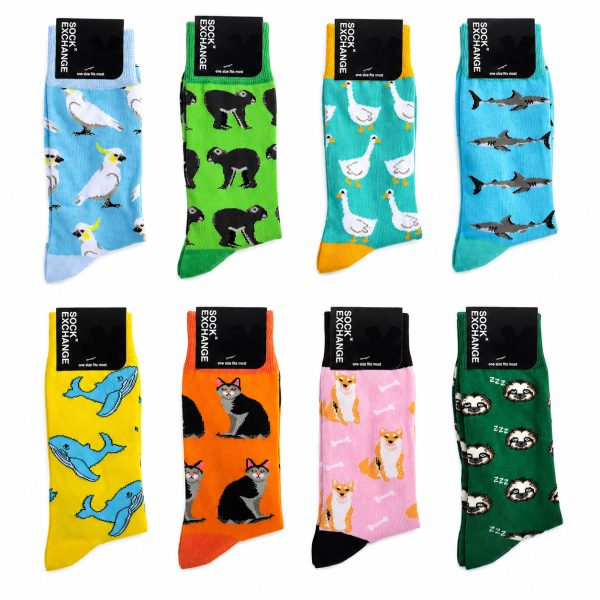 Sock Exchange Novelty Socks - Top Up - Set 1
