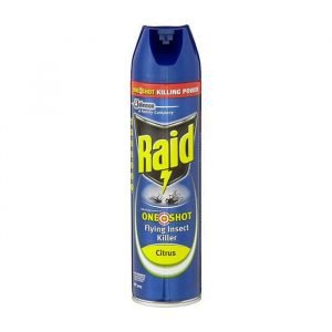 Raid One Shot Flying Insect Killer Spray 320g - Citrus