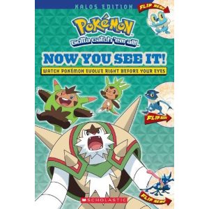 Pokemon: Now You See It! Kalos Edition Book