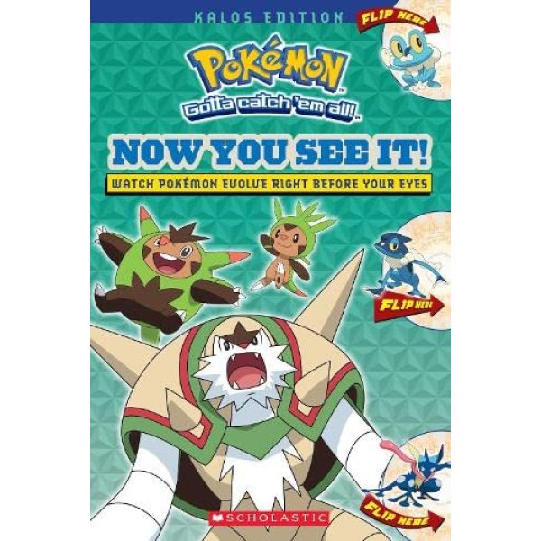 Pokemon: Now You See It! Kalos Edition Book