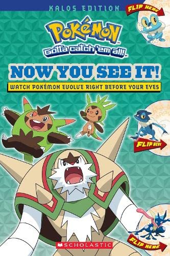 Pokemon: Now You See It! Kalos Edition Book