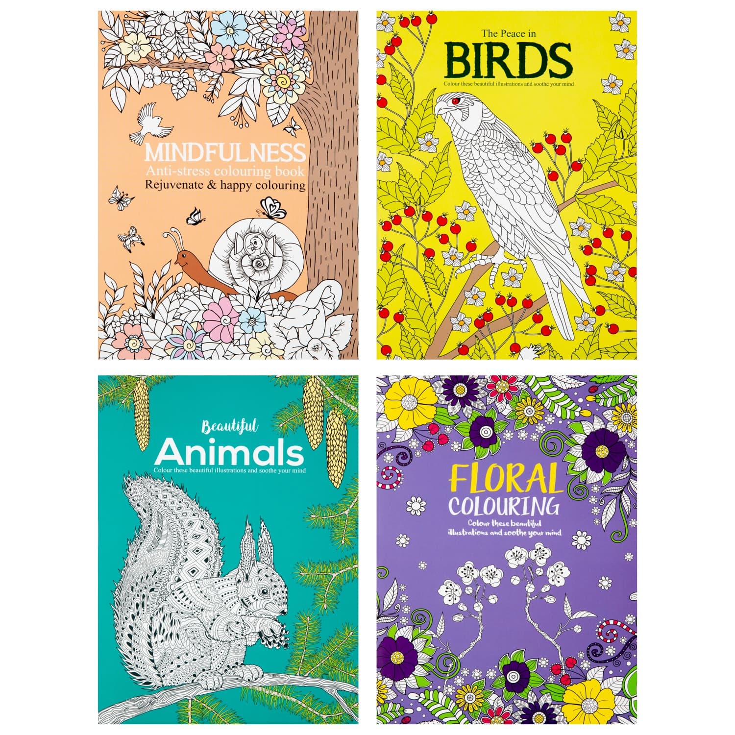 Assorted Adult Colouring Books