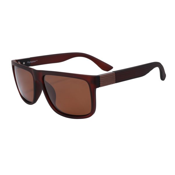 Plympton Polarised Premium Sunnies Brown
