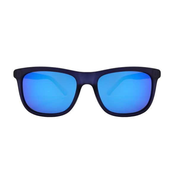 Plympton Polarised Premium Sunnies Blue