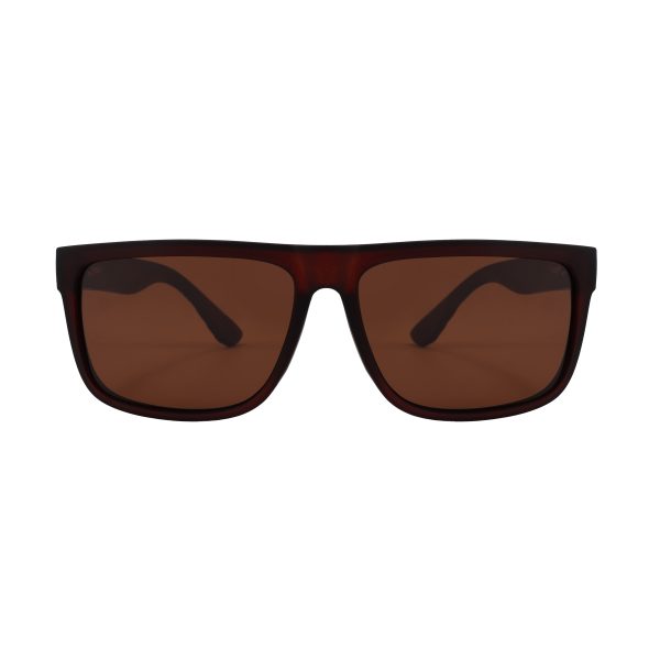 Plympton Polarised Premium Sunnies Brown