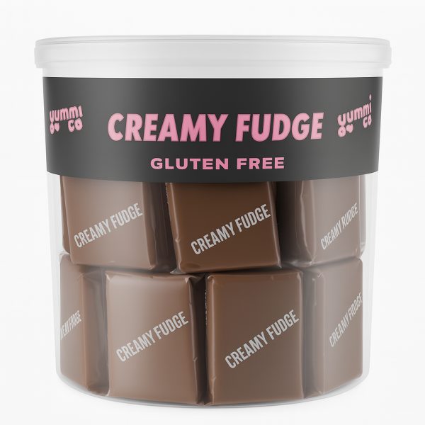 Chocolate Fudge in Tub 38g