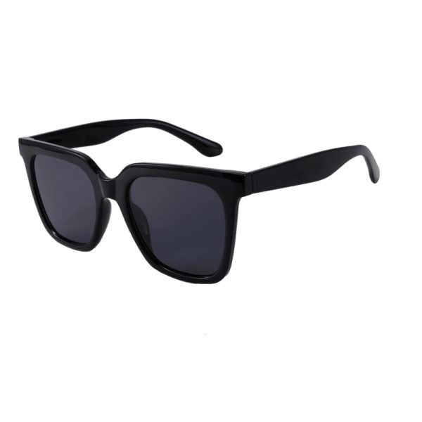 Plympton UV400 Fashion Sunnies Black