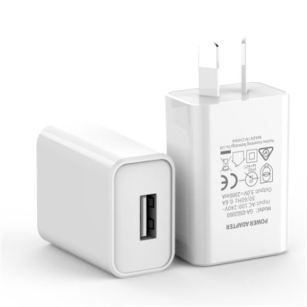 USP 10W Wall Charger Adapter 2A