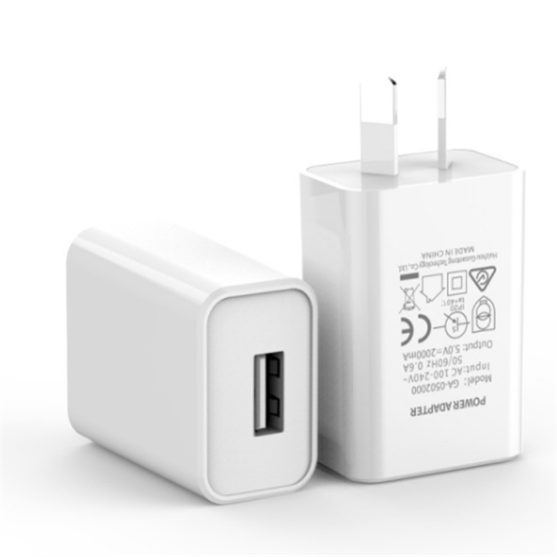 USP 10W Wall Charger Adapter 2A