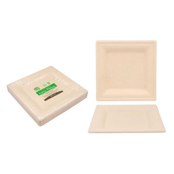 ECO Biodegradable Square Plate 26CM x 26CM (10