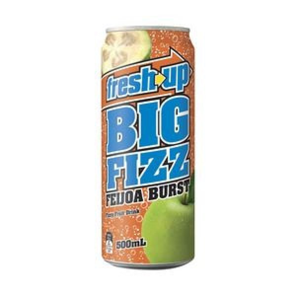 Fresh Up Big Fizz Feijoa Burst 50g