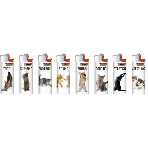 Bic Lighters Print - Sporting Cats