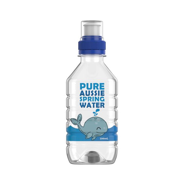 Fruity Burst 250ml Spring Water