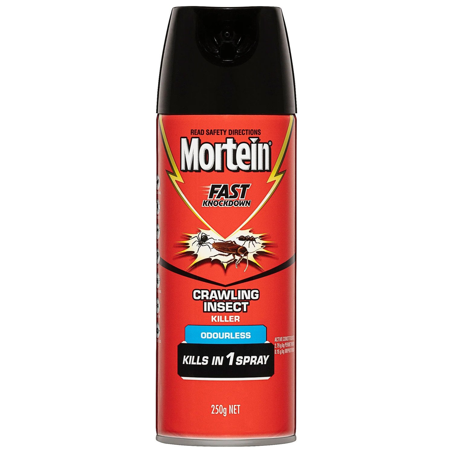 Mortein 250g Crawling Insect Killer Fast Knockdown Kills In 1 Spray Odourless
