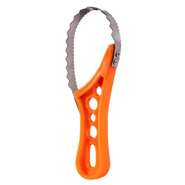 Jarvis Walker Round Stainless Steel Scaler