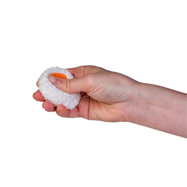 Fidget Sushi Platter