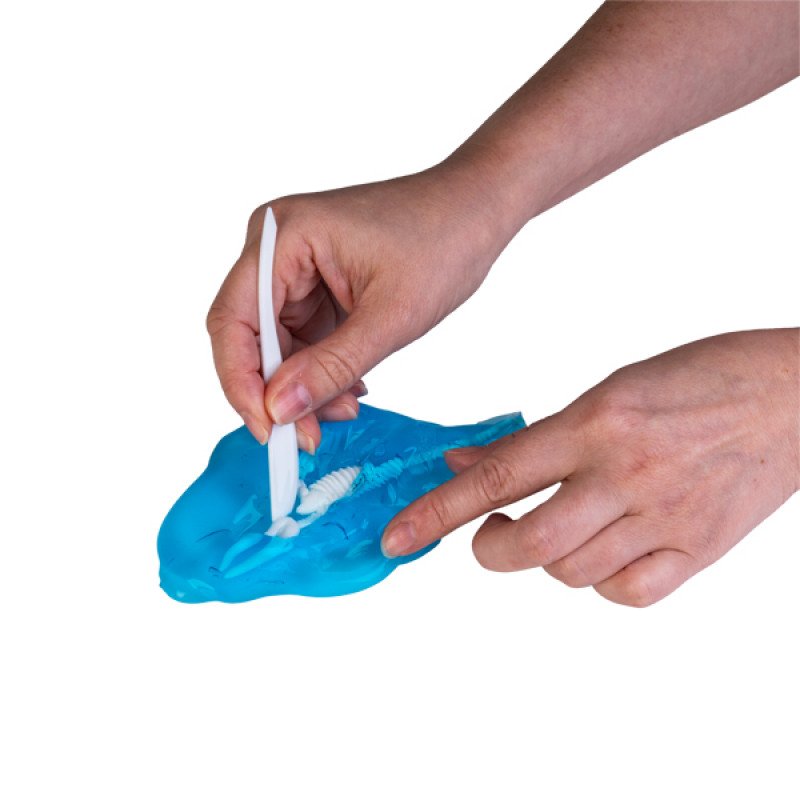 Sea Animal Slime Dig Out - Image 2